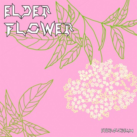 Elder Flower | Boomplay Music