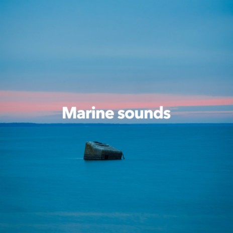 Whale Sounds For Relaxation