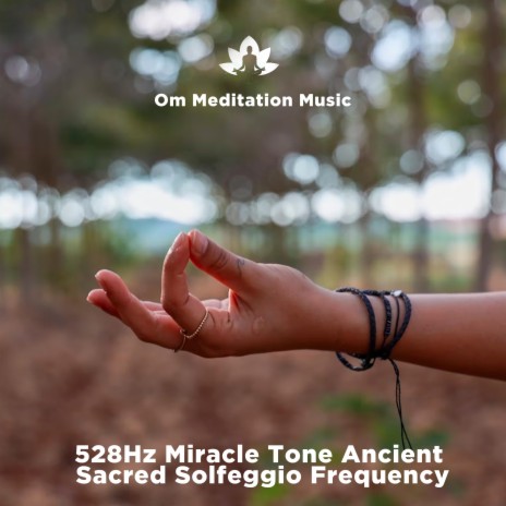528Hz Miracle Tone Ancient Sacred Solfeggio Frequency | Boomplay Music