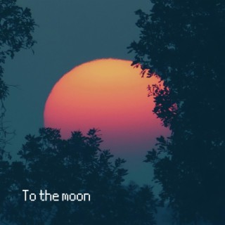 To the moon