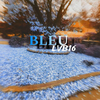 BLEU