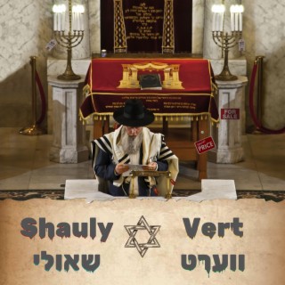 Shauly - Vert | שאולי - ווערט lyrics | Boomplay Music