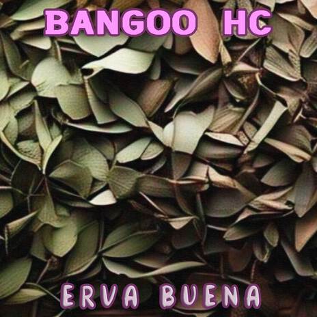 Erva Buena | Boomplay Music