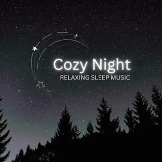 Cozy Night (Relaxing Sleep Music)