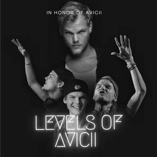 Levels Of Avicii (Official Audio) (EDM)