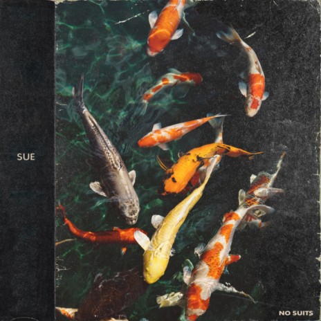 Sue | Boomplay Music