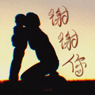 谢谢你 lyrics | Boomplay Music