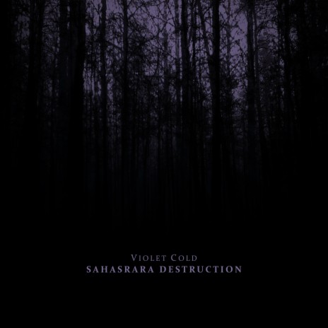 Sahasrara Destruction | Boomplay Music