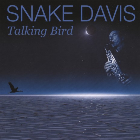 Talking Bird | Boomplay Music