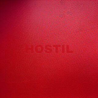 HOSTIL