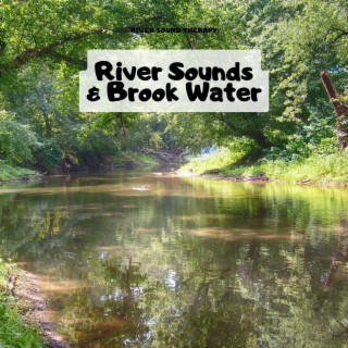 River Sounds & Brook Water