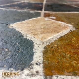 Herring