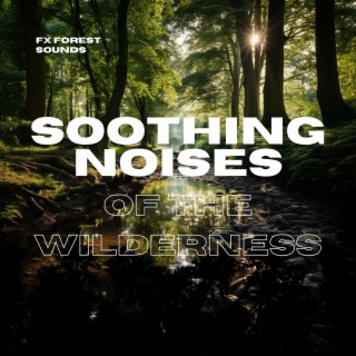 Soothing Noises of the Wilderness