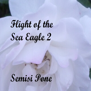 Flight of the Sea Eagle 2