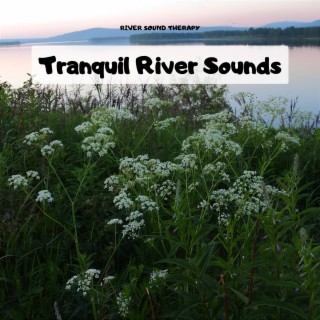 Tranquil River Sounds for Relaxation and Peaceful Sleep