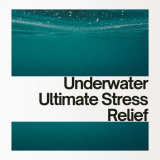 Underwater: Ultimate Stress Relief