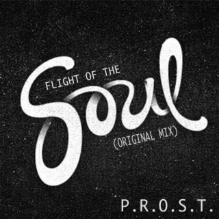 Flight of the Soul (Original Mix)