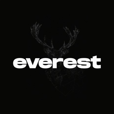 Everest (UK Drill Type Beat) | Boomplay Music