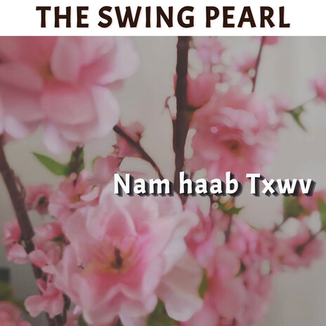 Nam Haab Txwv | Boomplay Music