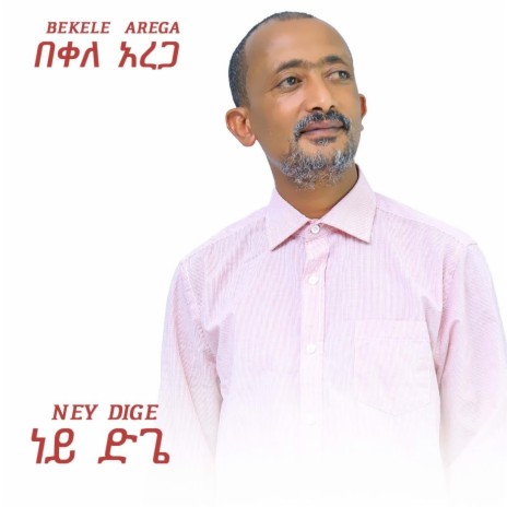 Ney Dige | Boomplay Music