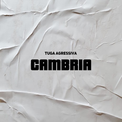 Cambria | Boomplay Music