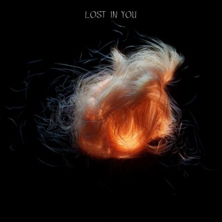 Lost In You