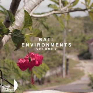 Bali Environments Volume 2