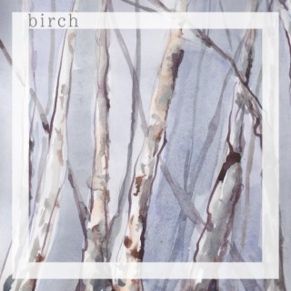 Birch