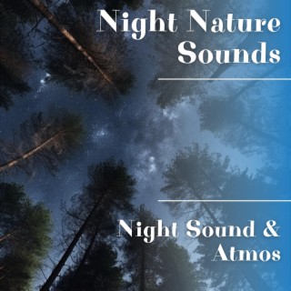 Night Sound & Atmos