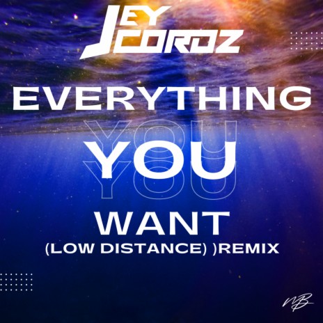 Everything You Want (Low Distance Remix) | Boomplay Music