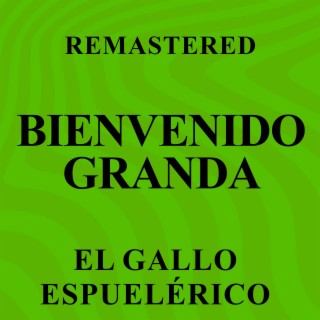 Downloads de discografia Bienvenido Granda: como baixar e ouvir as melhores  mÃºsicas do cantor cubano