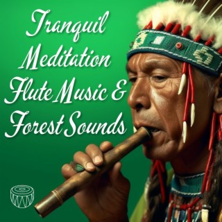 Tranquil Meditation Flute Music & Forest Sounds