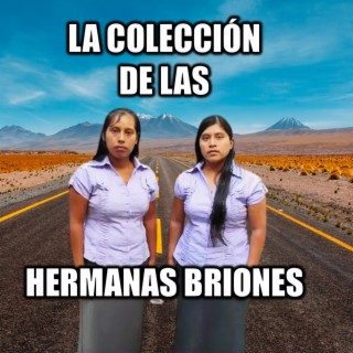 LA COLECCION DE LAS HERMANAS BRIONES