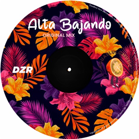 Alta Bajando (Original Mix) | Boomplay Music