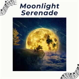 Moonlight Serenade: A Collection of Soothing Piano Melodies for Tranquil Evenings