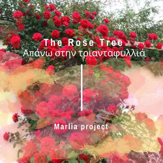 The Rose Tree