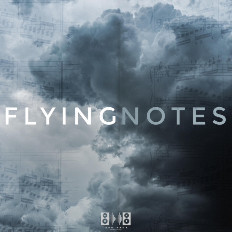 Flying Notes | Boomplay Music