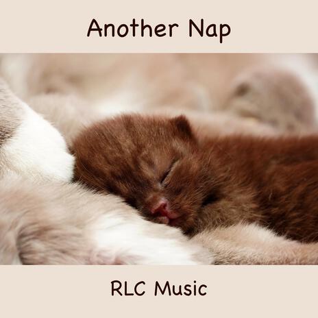 Another Nap | Boomplay Music