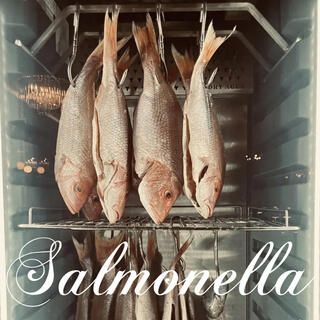 SALMONELLA