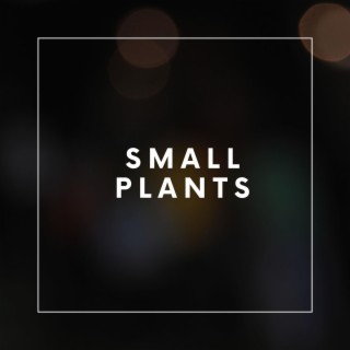 Small Plants (Live)