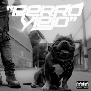 Perro Viejo lyrics | Boomplay Music