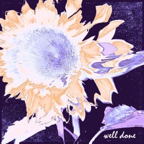 Well Done | Boomplay Music