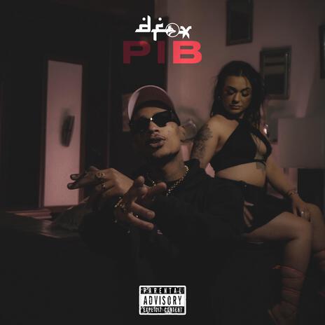 PIB | Boomplay Music