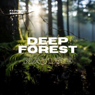 Deep Forest Nature