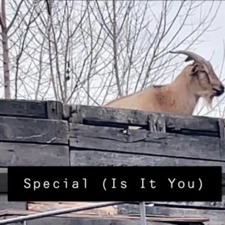 Special (Is it you?)