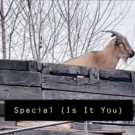 Special (Is it you?) | Boomplay Music