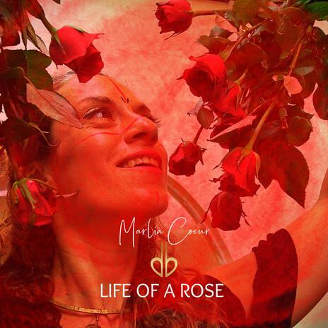 Life of a rose | Boomplay Music