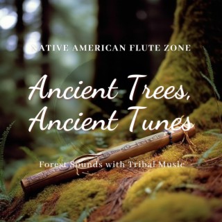 Ancient Trees, Ancient Tunes: Forest Sounds with Tribal Music