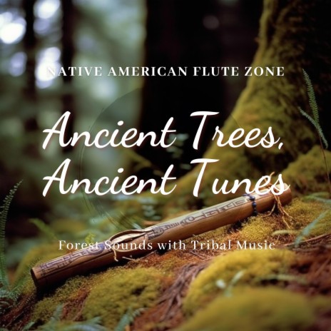 Tribal Wisdom ft. Native American Meditations & Native American Flute Music