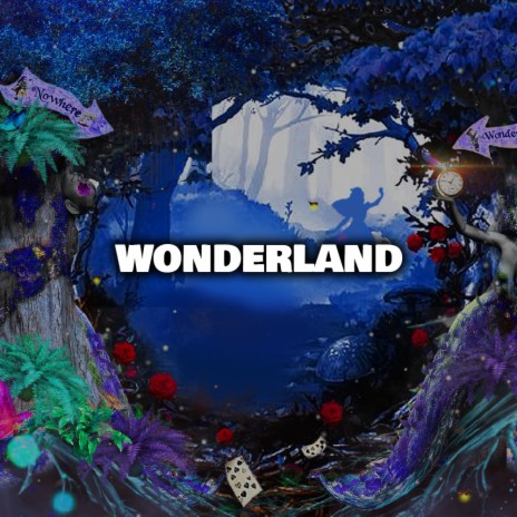 Wonderland | Boomplay Music